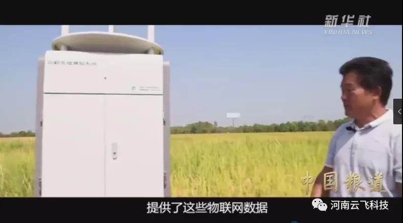 新華社《中國糧道》報道|云飛植保信息化系統(tǒng)在安徽科學院示范基地的應用